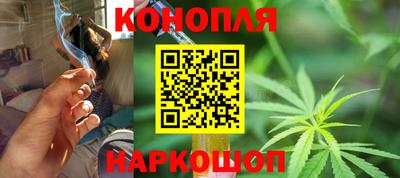 Альфа ПВП Нальчик