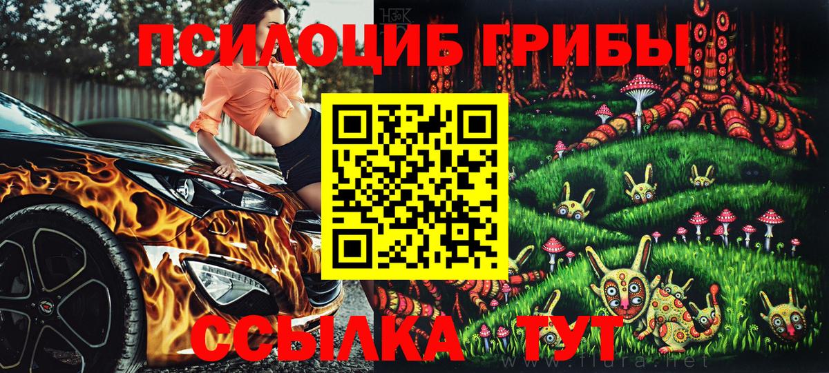 Галлюциногенные грибы Psilocybine cubensis Шахты
