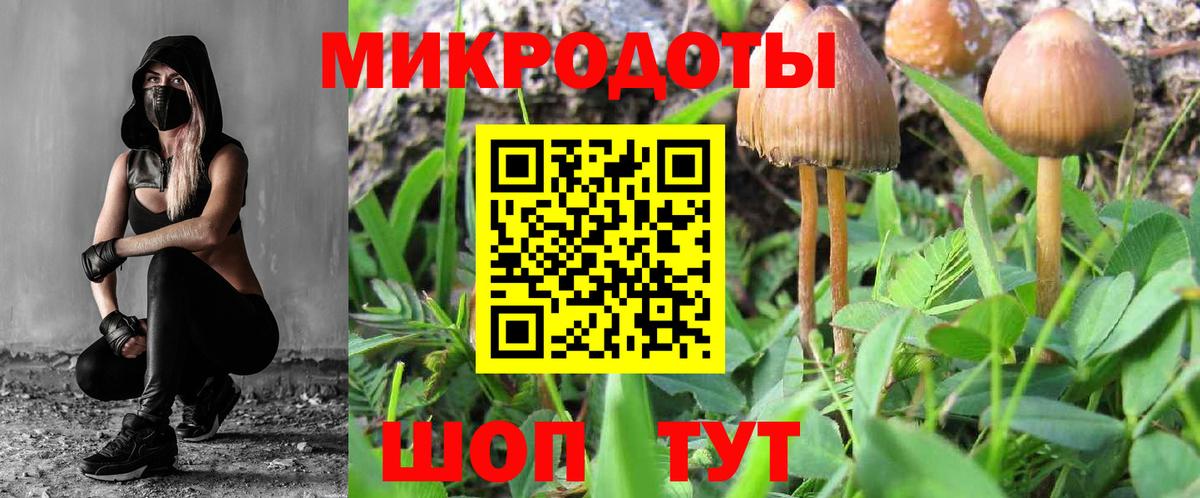 Псилоцибиновые грибы мицелий  магазин    Шахты  Вход с VPN 